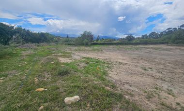 533  LOTE EN CONDOMINIO SACHICA