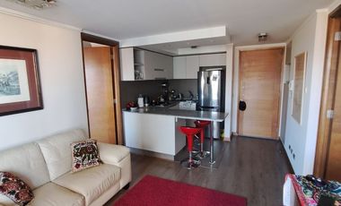 ESPECTACULAR  DEPARTAMENTO  2D, 2B,  A PASOS DE AV. LIBERTAD, SECTOR PONIENTE.