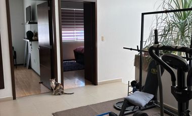 Renta de casa Amueblada en zona Norte en la Cantera a 6 MINUTOS DE PLAZA MAYOR