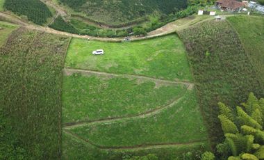 EN VENTA AMPLIO LOTE DE 3524 M2 EN LA VIA ALCALA FILANDIA