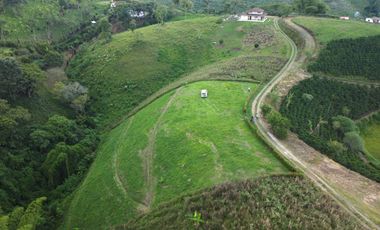 EN VENTA AMPLIO LOTE DE 3524 M2 EN LA VIA ALCALA FILANDIA