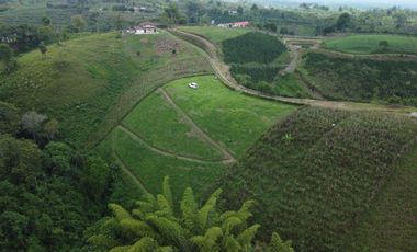 EN VENTA AMPLIO LOTE DE 3524 M2 EN LA VIA ALCALA FILANDIA