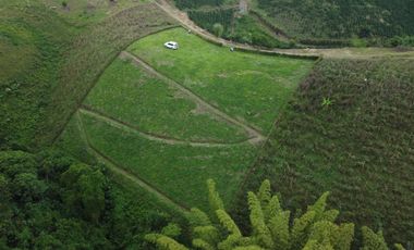 EN VENTA AMPLIO LOTE DE 3524 M2 EN LA VIA ALCALA FILANDIA