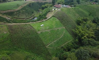 EN VENTA AMPLIO LOTE DE 3524 M2 EN LA VIA ALCALA FILANDIA