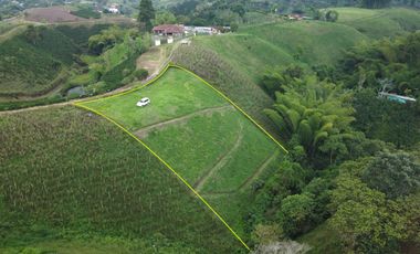 EN VENTA AMPLIO LOTE DE 3524 M2 EN LA VIA ALCALA FILANDIA