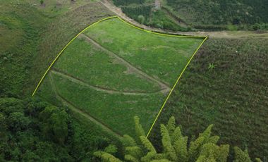 EN VENTA AMPLIO LOTE DE 3524 M2 EN LA VIA ALCALA FILANDIA