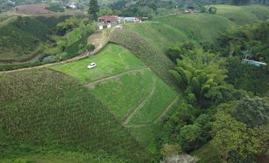 EN VENTA AMPLIO LOTE DE 3524 M2 EN LA VIA ALCALA FILANDIA