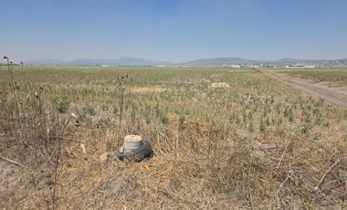 VENTA DE TERRENO, EJIDO ACAYUCAN, EN ZAPOTLAN DE JUAREZ (ATRAS DEL C-5)