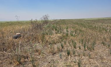 VENTA DE TERRENO, EJIDO ACAYUCAN, EN ZAPOTLAN DE JUAREZ (ATRAS DEL C-5)