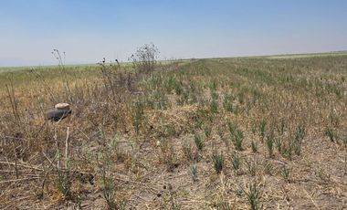 VENTA DE TERRENO, EJIDO ACAYUCAN, EN ZAPOTLAN DE JUAREZ (ATRAS DEL C-5)