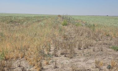 VENTA DE TERRENO, EJIDO ACAYUCAN, EN ZAPOTLAN DE JUAREZ (ATRAS DEL C-5)