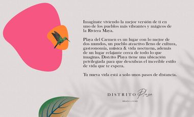 DISTRITO PLAYA DEPARTAMENTOS PREVENTA PLAYA DEL CARMEN