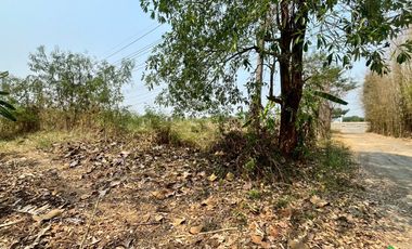 Prime Land for Sale on San Kamphaeng New Super Highway