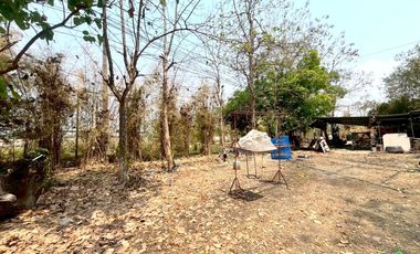 Prime Land for Sale on San Kamphaeng New Super Highway