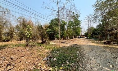 Prime Land for Sale on San Kamphaeng New Super Highway