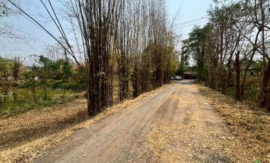 Prime Land for Sale on San Kamphaeng New Super Highway