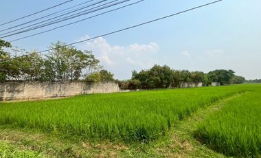 Land for Sale on San Kamphaeng–Mae On Road – Prime Business Location