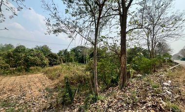 Land for Sale on San Kamphaeng–Mae On Road – Prime Business Location