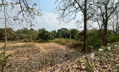 Land for Sale on San Kamphaeng–Mae On Road – Prime Business Location