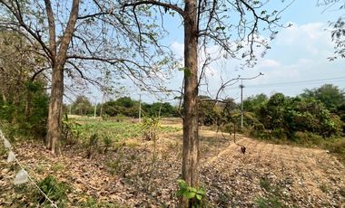 Land for Sale on San Kamphaeng–Mae On Road – Prime Business Location