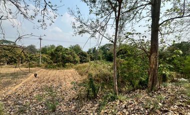 Land for Sale on San Kamphaeng–Mae On Road – Prime Business Location
