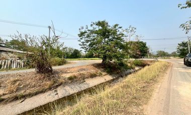 Land for Sale on San Kamphaeng–Mae On Road – Prime Business Location