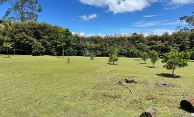 Lote  en venta,  Palmas, Poblado, Medellin, Antioquia