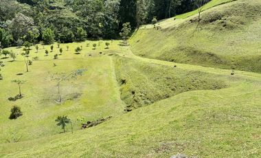 Lote  en venta,  Palmas, Poblado, Medellin, Antioquia