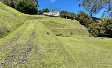 Lote  en venta,  Palmas, Poblado, Medellin, Antioquia