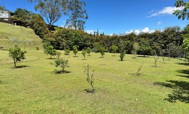 Lote  en venta,  Palmas, Poblado, Medellin, Antioquia