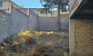 Terreno en Venta con Propiedad en Obra Gris en Almoloya