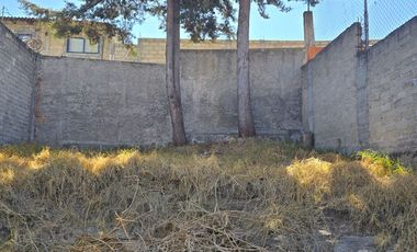 Terreno en Venta con Propiedad en Obra Gris en Almoloya