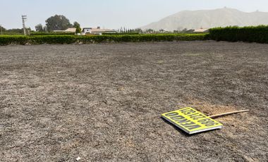 Terreno en venta en Quilmaná – Tu refugio ideal en el Valle de Cañete