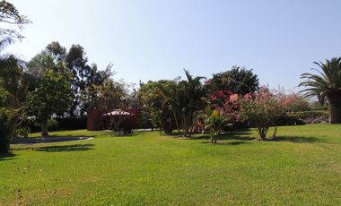 Terreno en venta en Quilmaná – Tu refugio ideal en el Valle de Cañete