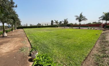 Terreno en venta en Quilmaná – Tu refugio ideal en el Valle de Cañete
