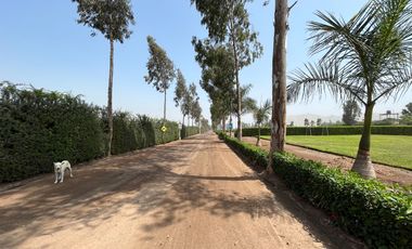 Terreno en venta en Quilmaná – Tu refugio ideal en el Valle de Cañete