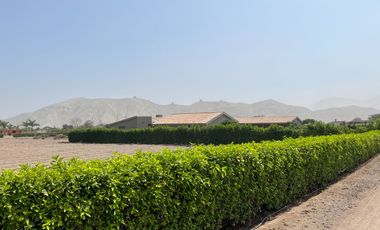 Terreno en venta en Quilmaná – Tu refugio ideal en el Valle de Cañete