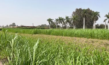 Terreno en venta en Quilmaná – Tu refugio ideal en el Valle de Cañete