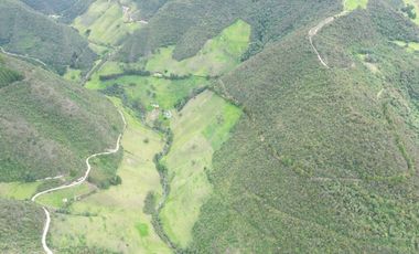 Hacienda en venta cuenta con 14.5 hectáreas.