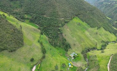Hacienda en venta cuenta con 14.5 hectáreas.