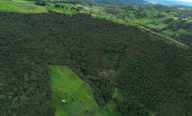 Hacienda en venta cuenta con 14.5 hectáreas.