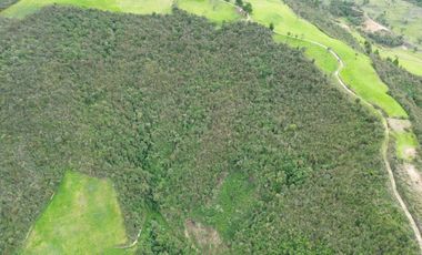 Hacienda en venta cuenta con 14.5 hectáreas.
