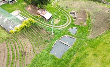Hacienda en venta cuenta con 14.5 hectáreas.