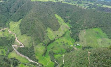 Hacienda en venta cuenta con 14.5 hectáreas.