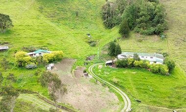 Hacienda en venta cuenta con 14.5 hectáreas.