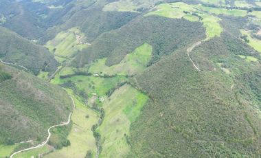 Hacienda en venta cuenta con 14.5 hectáreas.