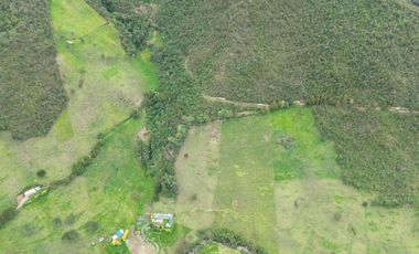 Hacienda en venta cuenta con 14.5 hectáreas.