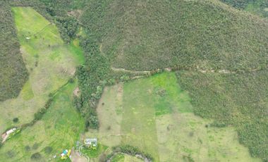 Hacienda en venta cuenta con 14.5 hectáreas.