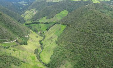 Hacienda en venta cuenta con 14.5 hectáreas.