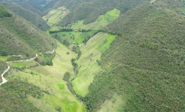Hacienda en venta cuenta con 14.5 hectáreas.